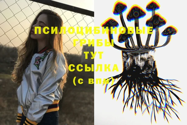 экстази Алексин
