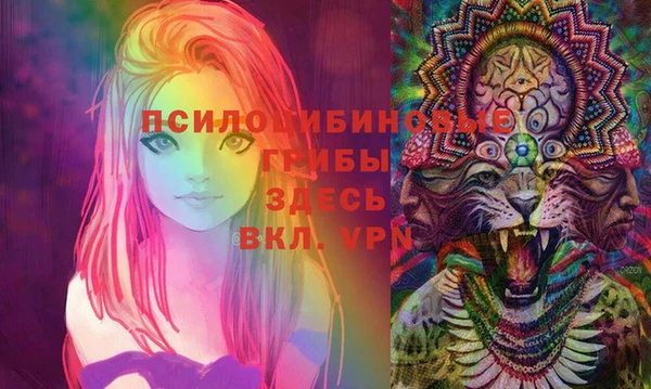 экстази Алексин