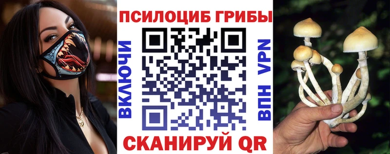 Псилоцибиновые грибы Magic Shrooms  Асино 
