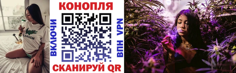 MEGA ссылка  Асино  Бошки Шишки White Widow 